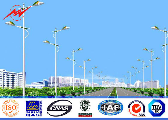 6M-12M ارتفاع شارع ضوء القطب ديجيسن تراجع الساخنة المجلفن السطح